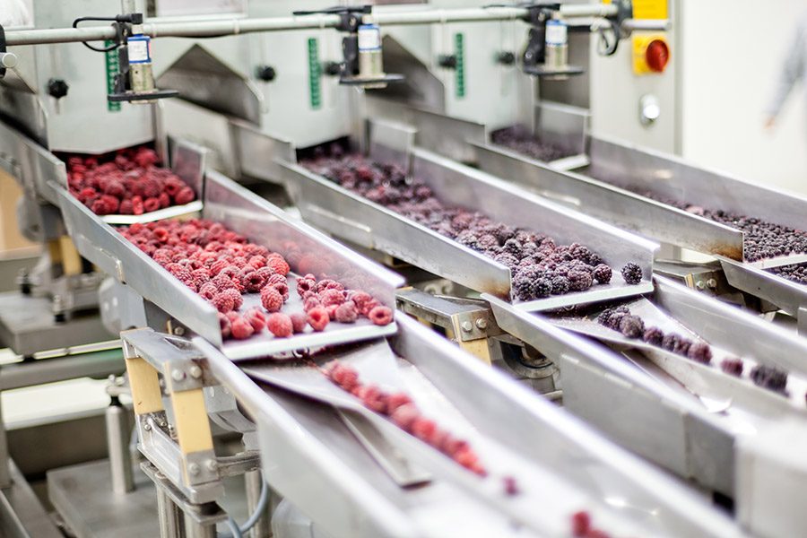 food manufacturing and engineering conveyor belt